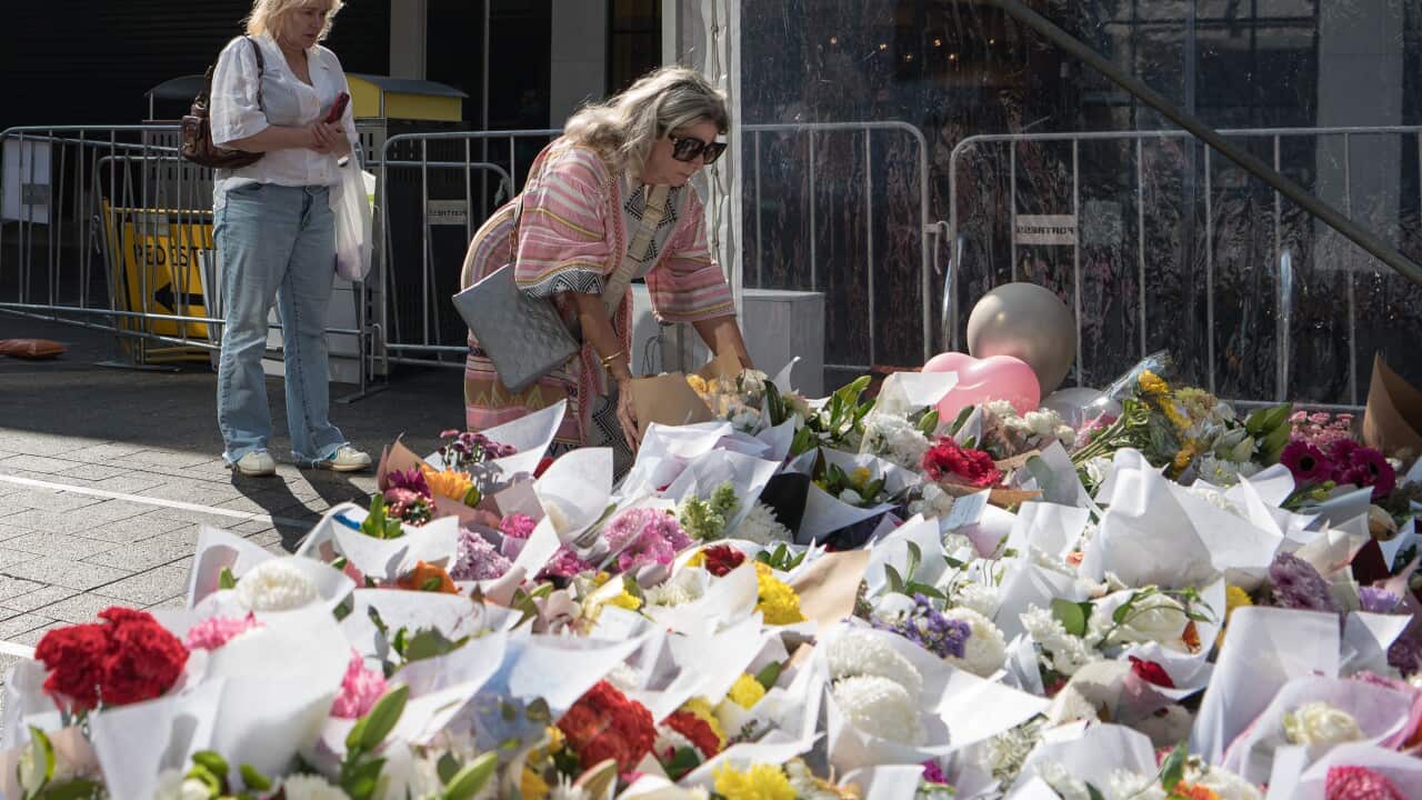 BONDI STABBING MASS MURDER REAX