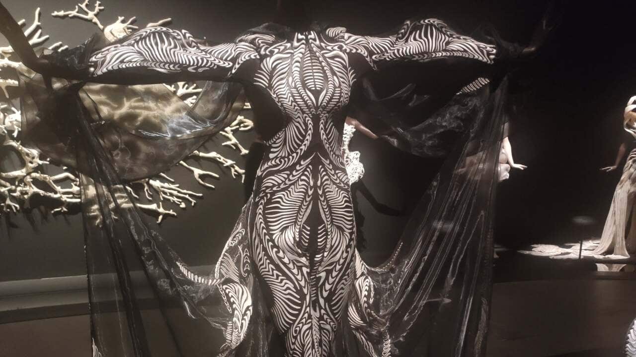 Sculpting the Senses Iris van Herpen