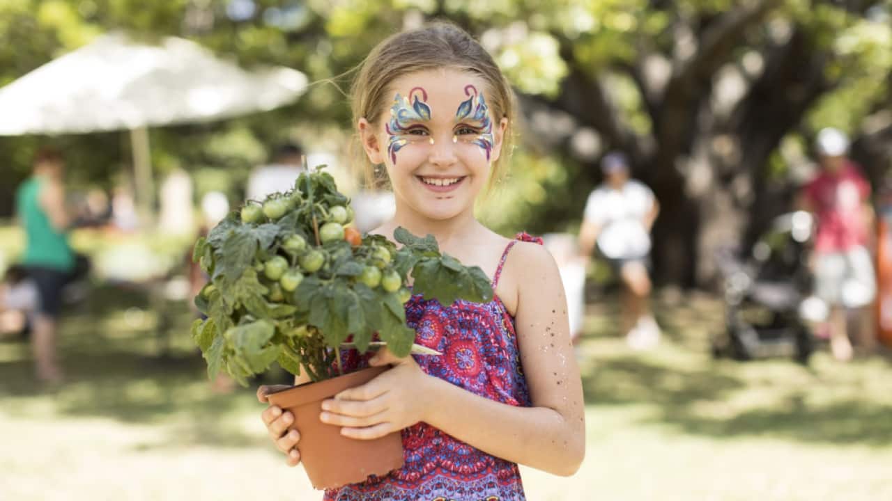 Sydney Tomato Festival 2019
