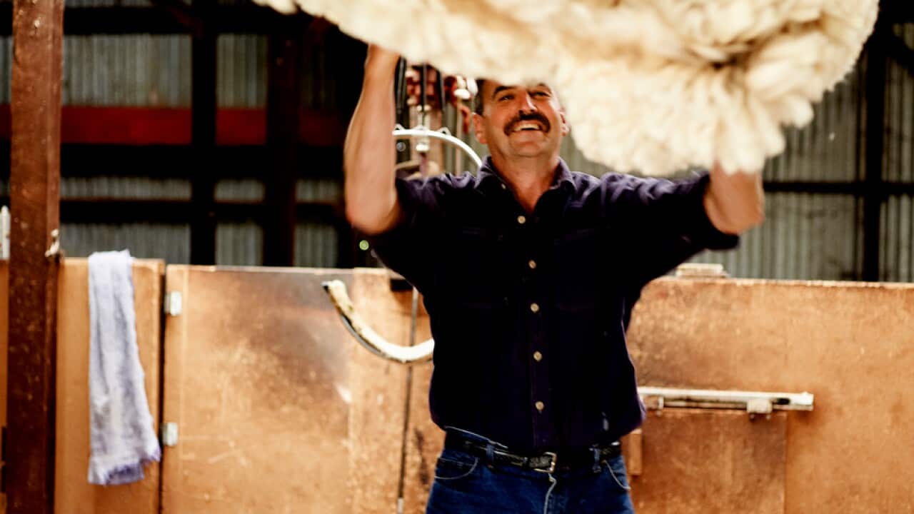 Celebrate Shearing season SBS Food