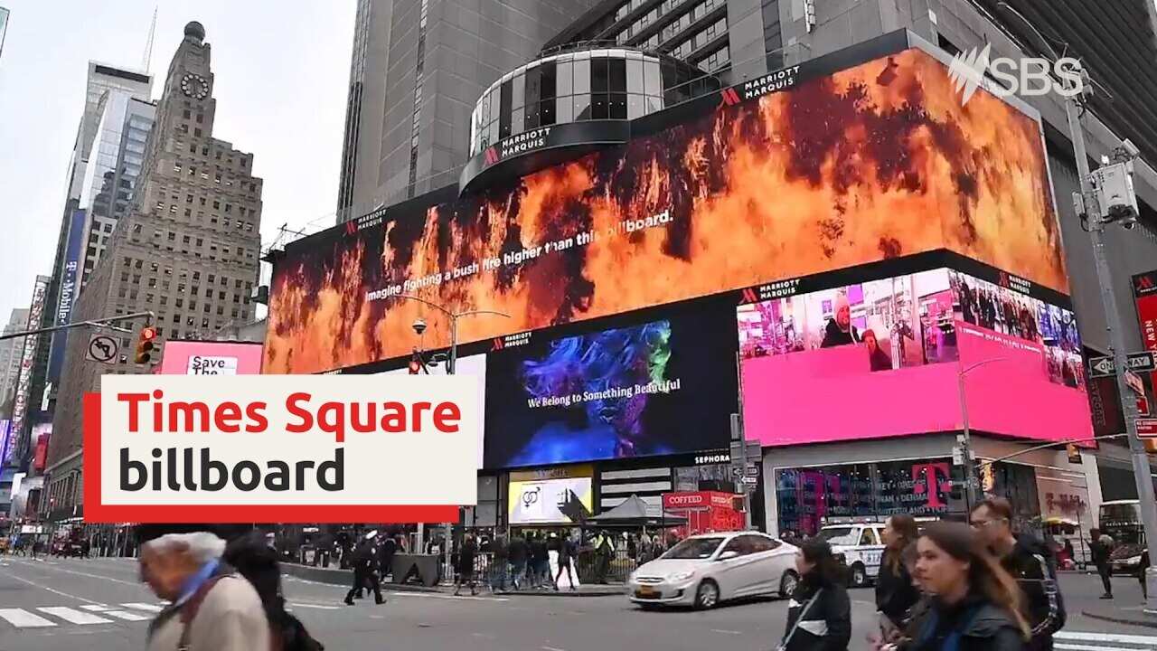 Image for read more article 'READ MORE'