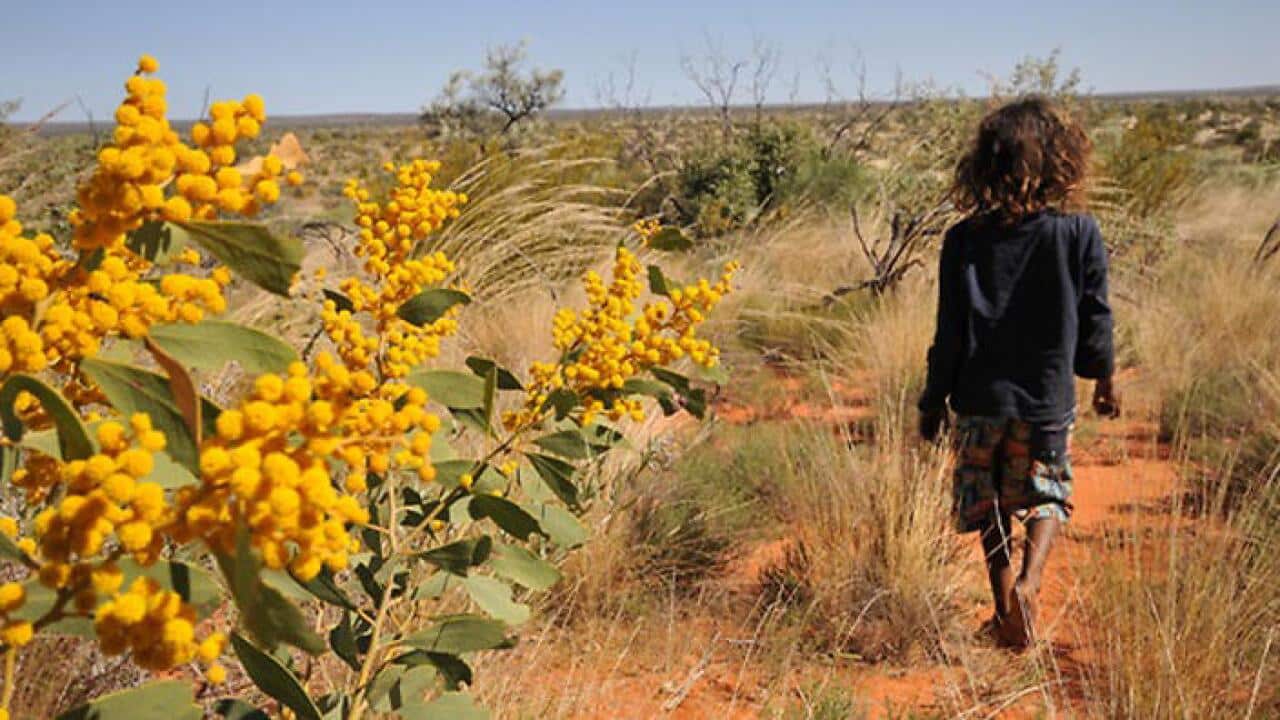 aboriginal.jpeg