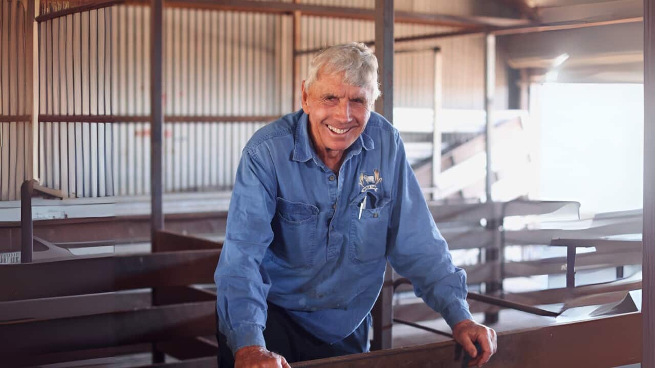 Sheep farmer Peter Boyle in the new federal seat of Bullwinkel says live sheep exports is a key issue he is watching closely_photo credit_Christopher Tan_SBS.jpg