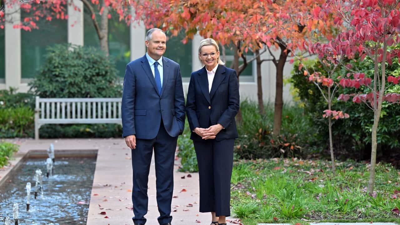 SUSSAN LEY PORTRAIT