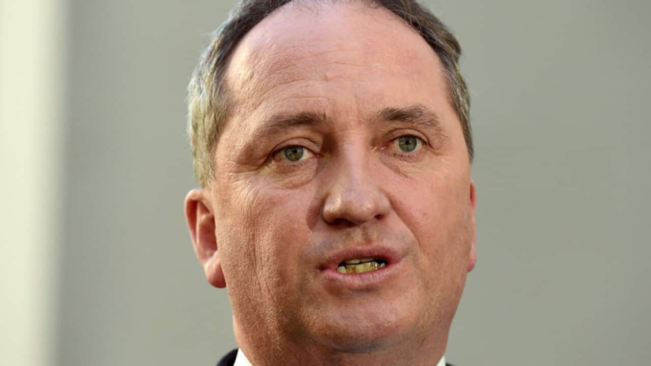 Deputy Prime Minister Barnaby Joyce