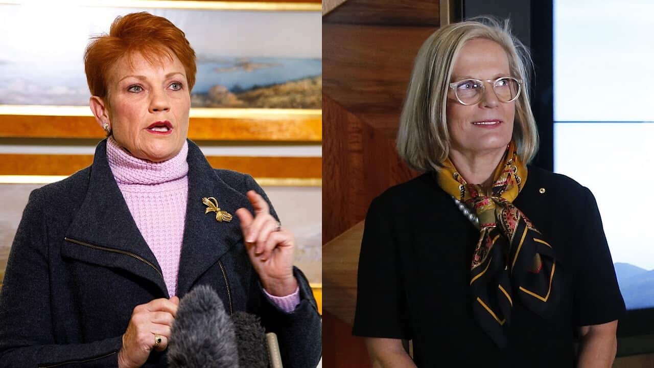 Pauline Hanson (left) has hit out at Lucy Turnbull.