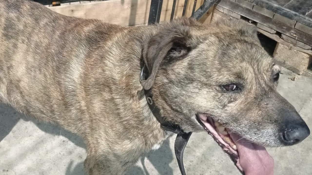 Screenshot 2024-07-29 at 6.31.16 PM.png