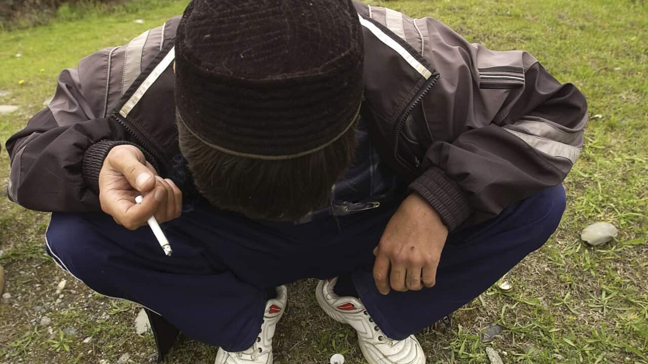 大家可能未必知道墨爾本其實也是一個大量使用毒品的一個城市。