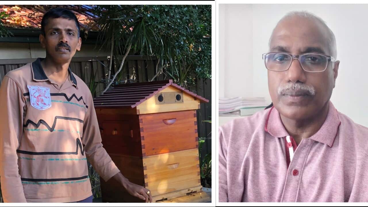 World Bee Day