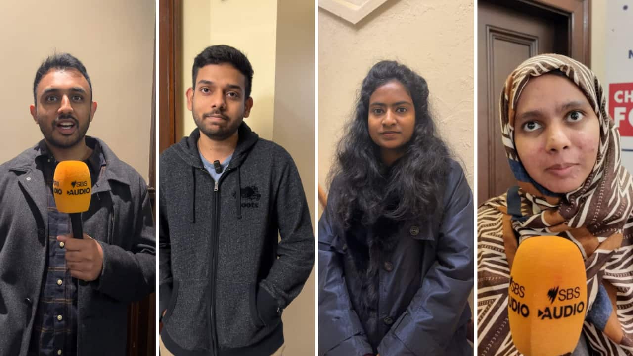 Copy of ALC Header Side-By-Side + Cutout.png