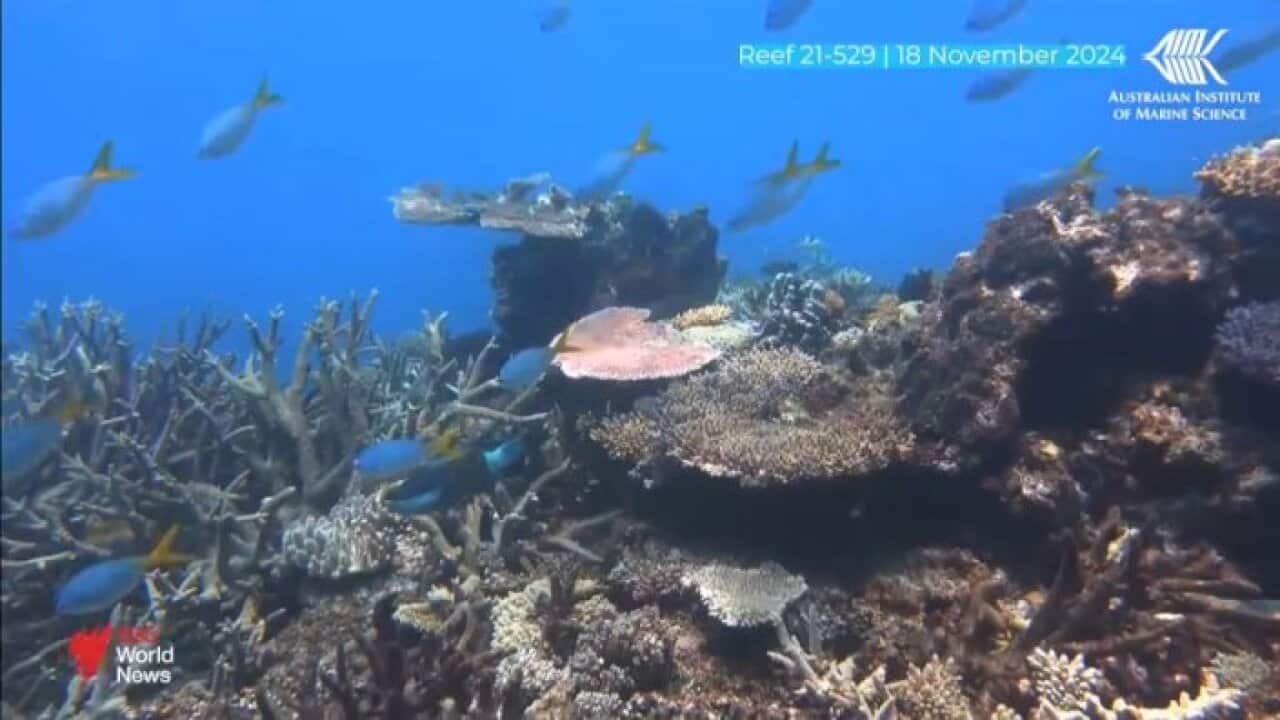 GBR.jpg