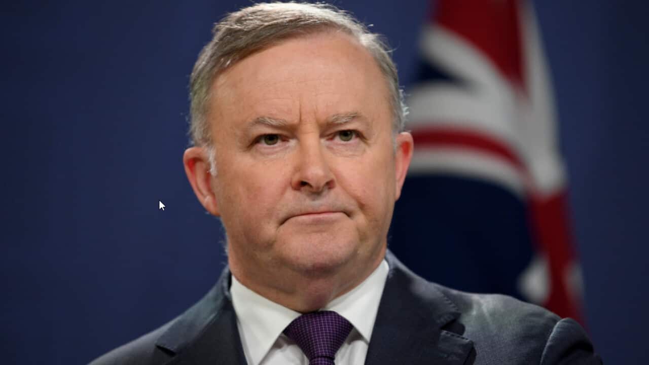 Opposition Leader Anthony Albanese addresses media during a press conference.
