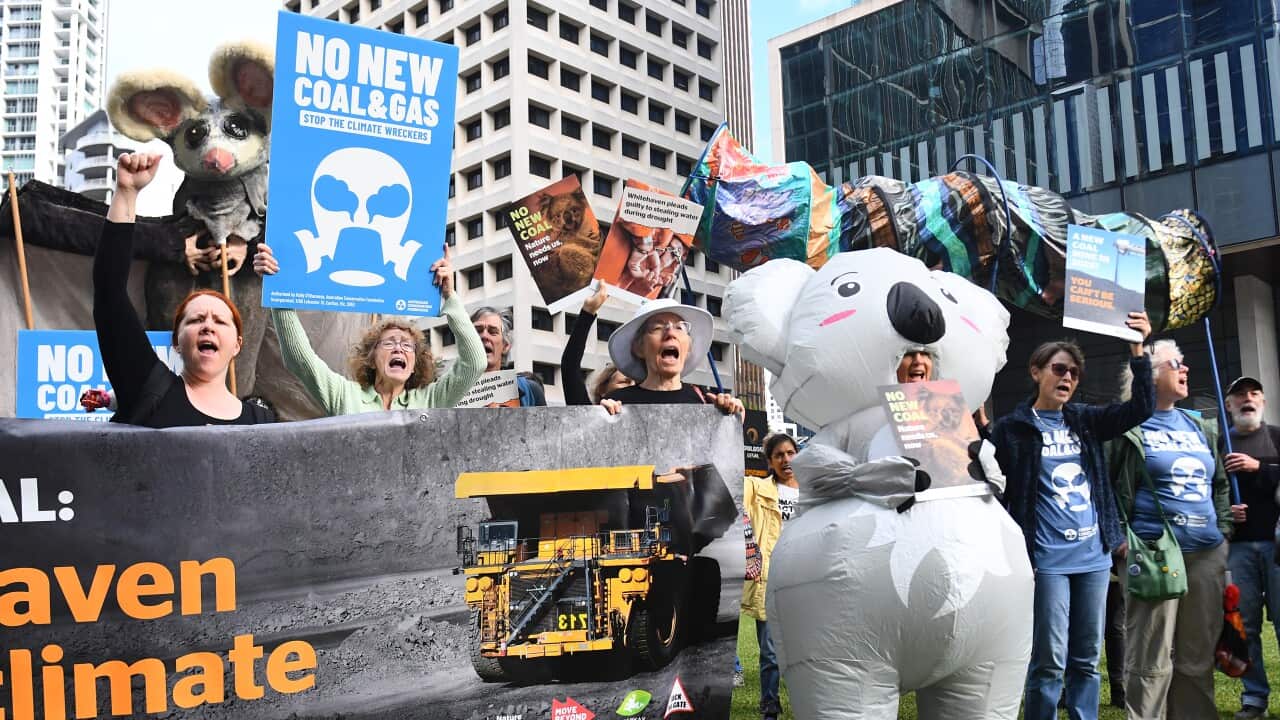 Protesters gather against the coal mining plan of ‘climate catastrophe’ Protesters gather against the coal mining plan of ‘climate catastrophe’