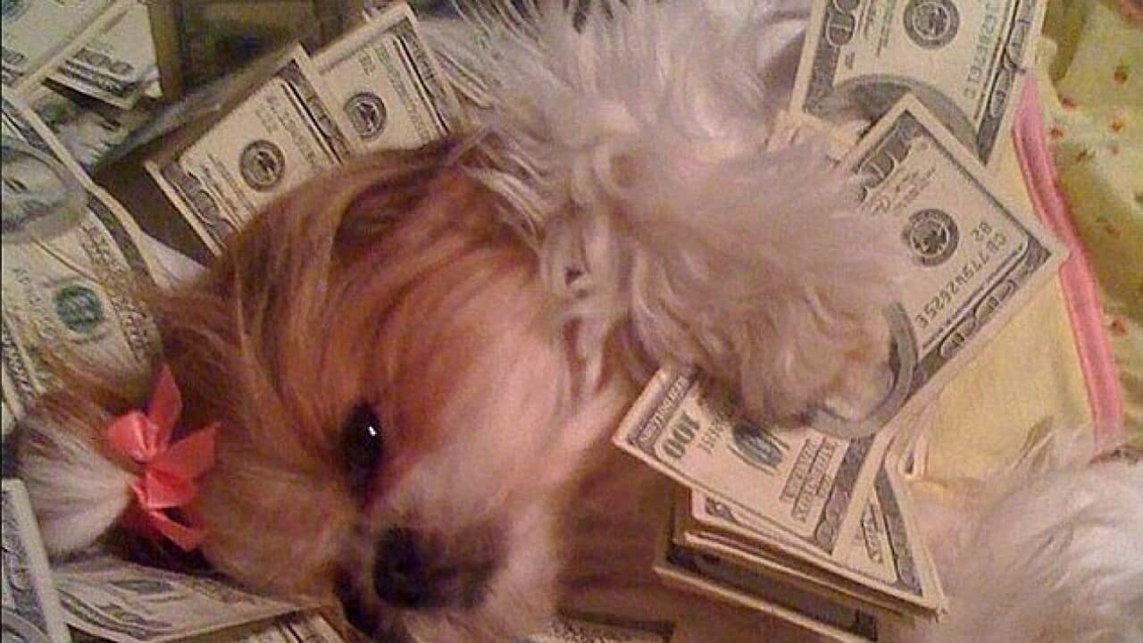 Image for read more article 'Recommended reading'