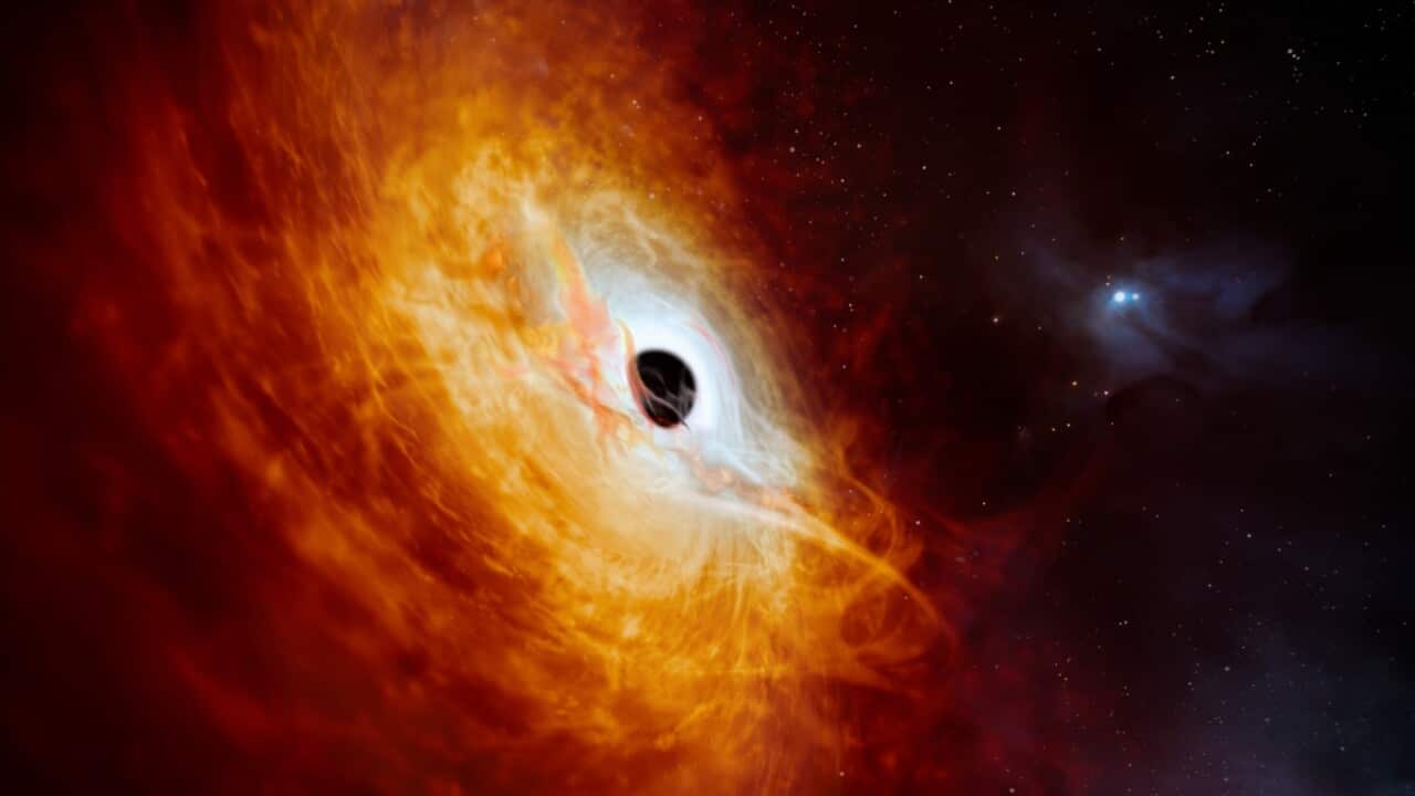 Astronomers Discover Supermassive Black Hole That Is 'Brightest Object Ever'