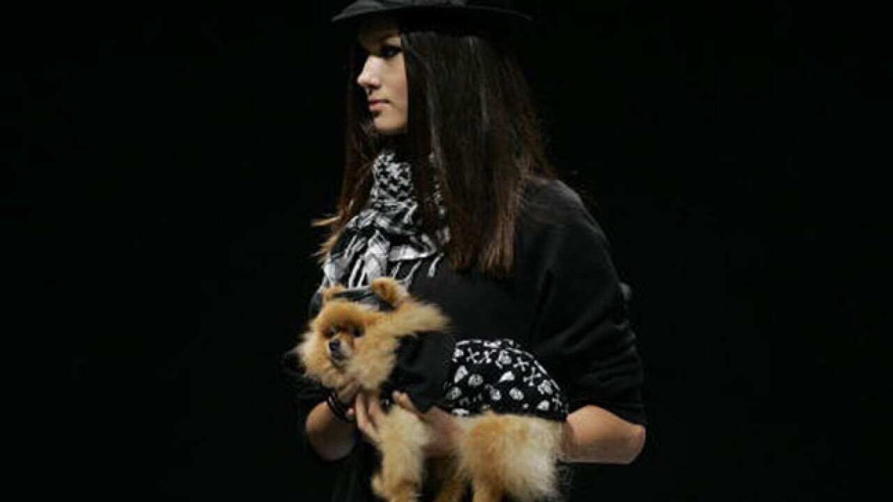 Pet-fashion-week_Sao-Paulo_120717_b_getty_753504180