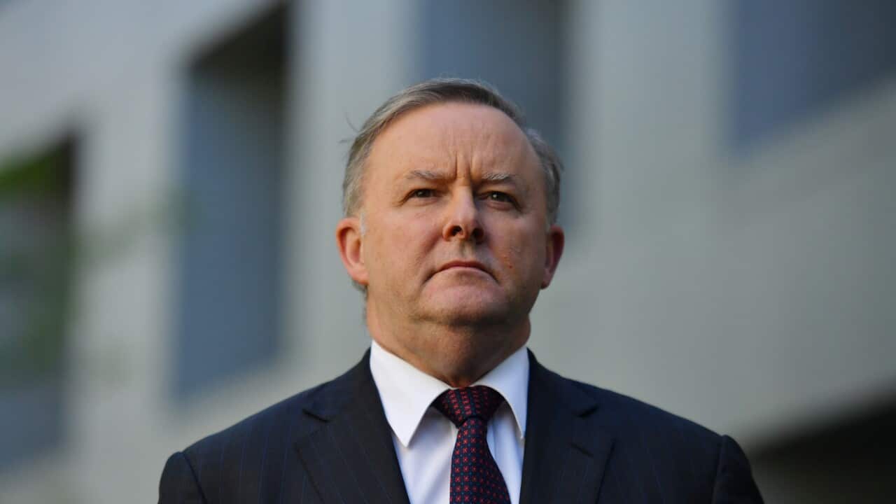 Leader of the Opposition Anthony Albanese