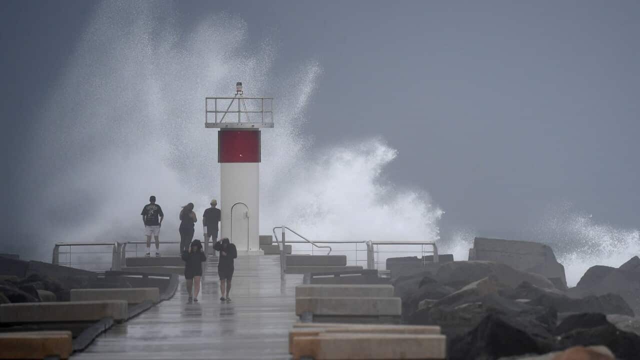 QLD CYCLONE ALFRED