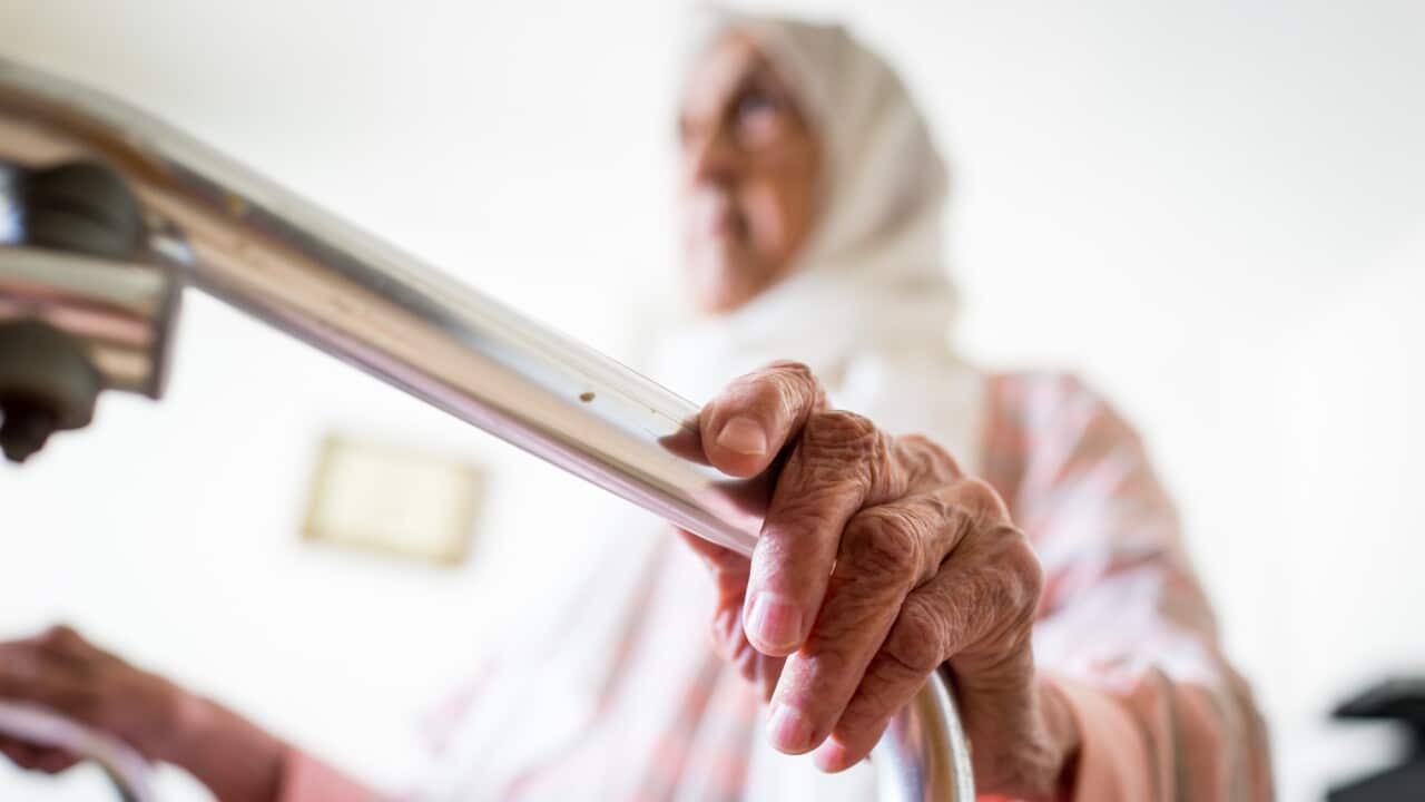 elderly hands on walker.jpg