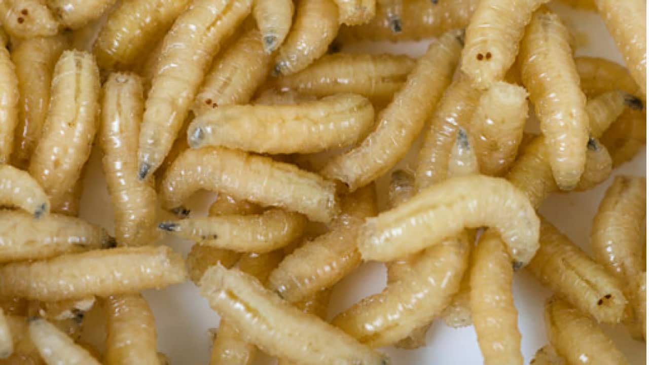 Image for read more article 'Otras noticias en español'