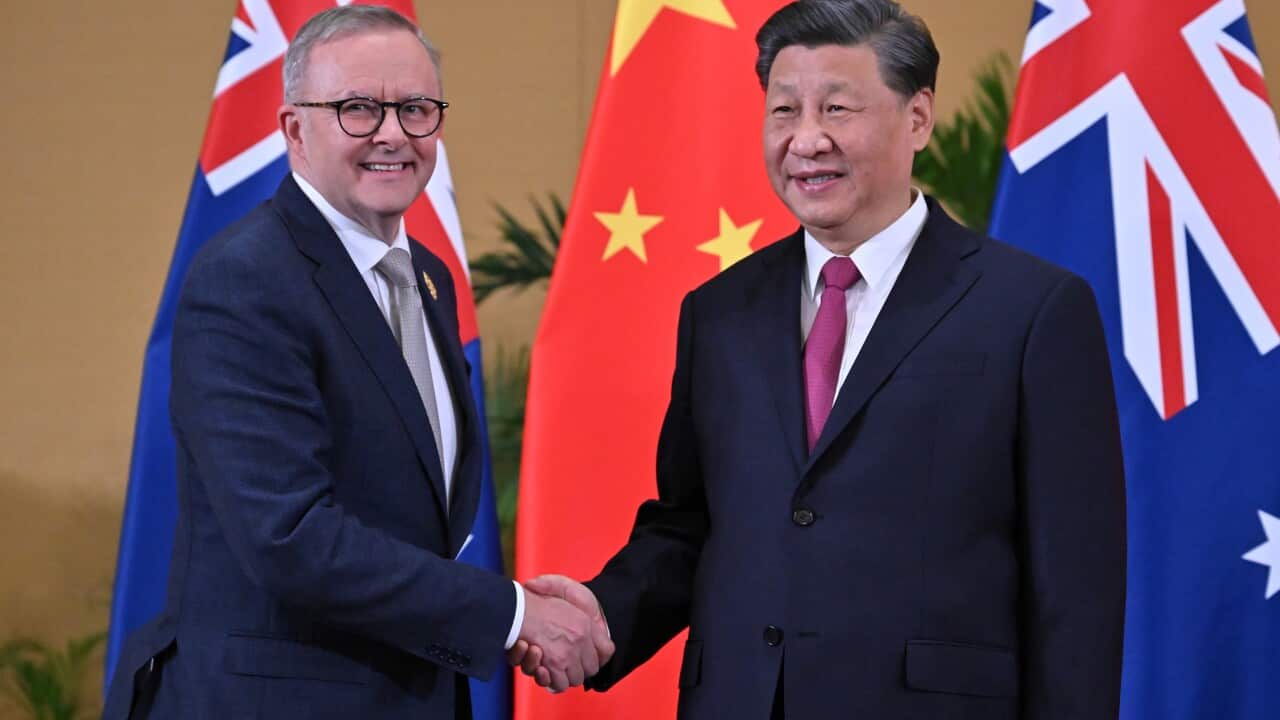 Anthony Albanese shakes hands with Xi Jinping in front of Chinese and Ausrtalian flags.