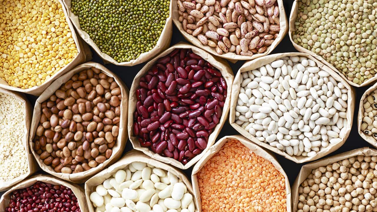 The essential guide to beans, pulses, legumes and lentils | SBS Food