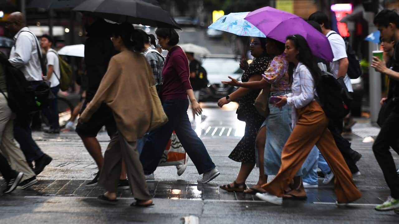 People walk with umbrellas in Sydney on a rainy day.