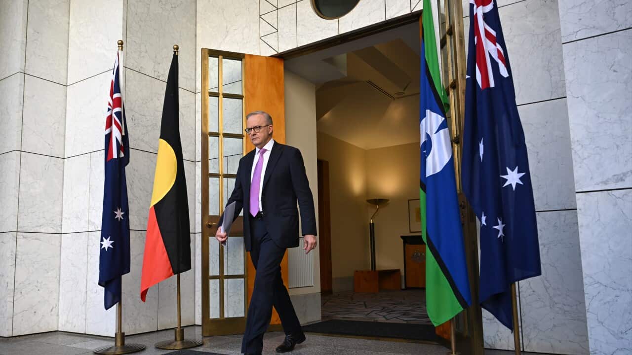 ANTHONY ALBANESE PRESSER