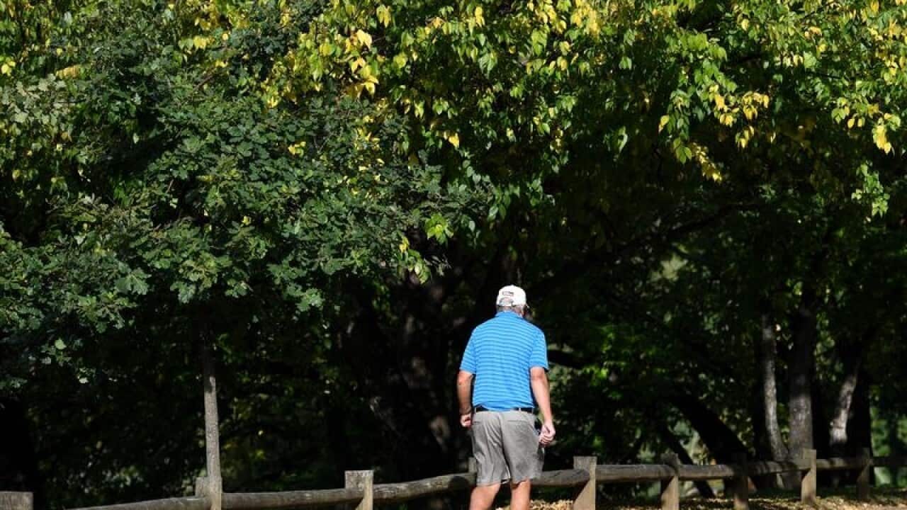 Image for read more article 'READ MORE'