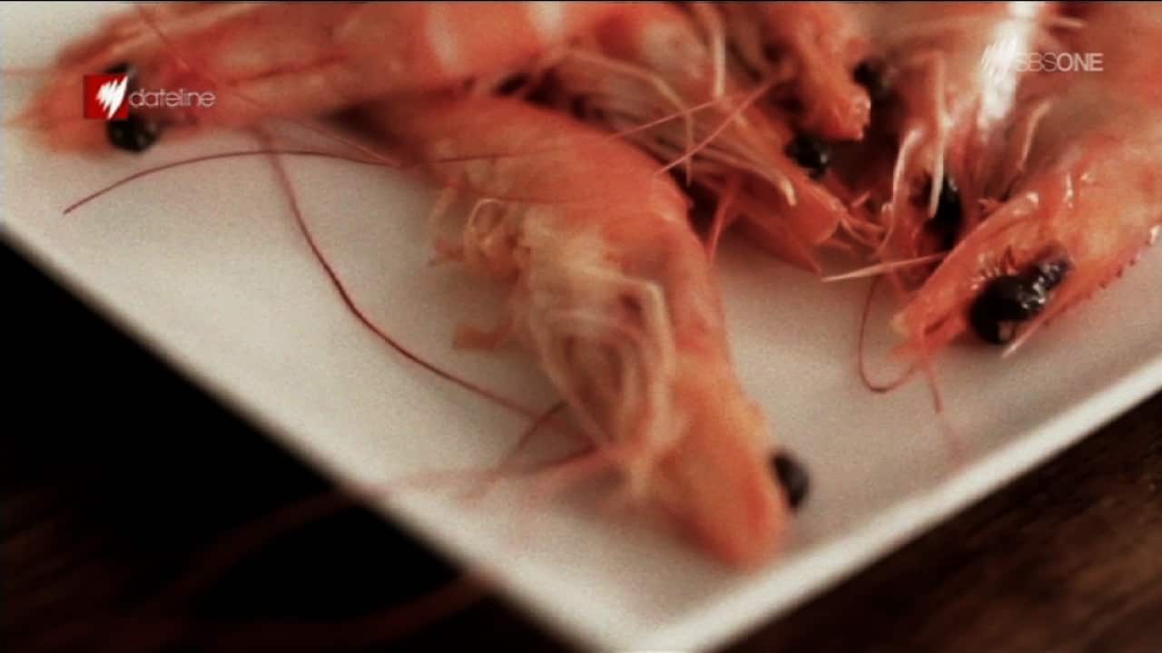 PRAWN_DATELINE_WN.png