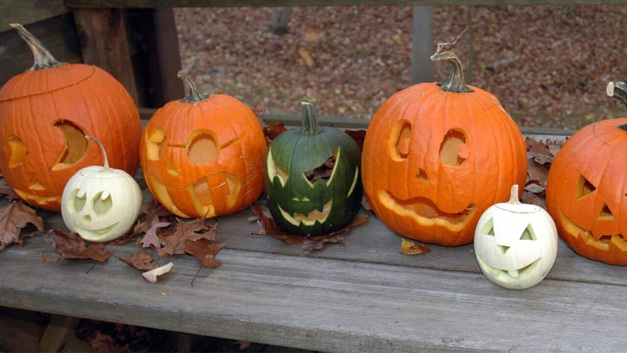 Image for read more article 'Halloween hits'