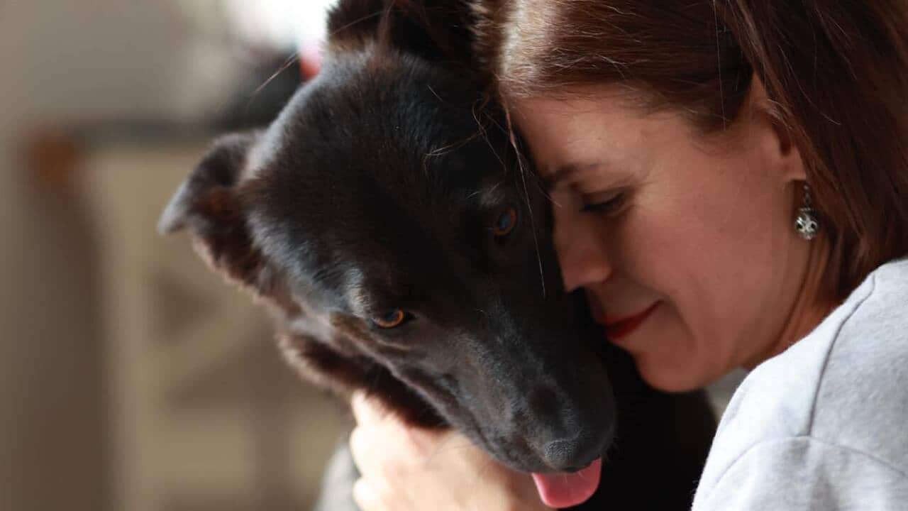 Image for read more article 'READ MORE'