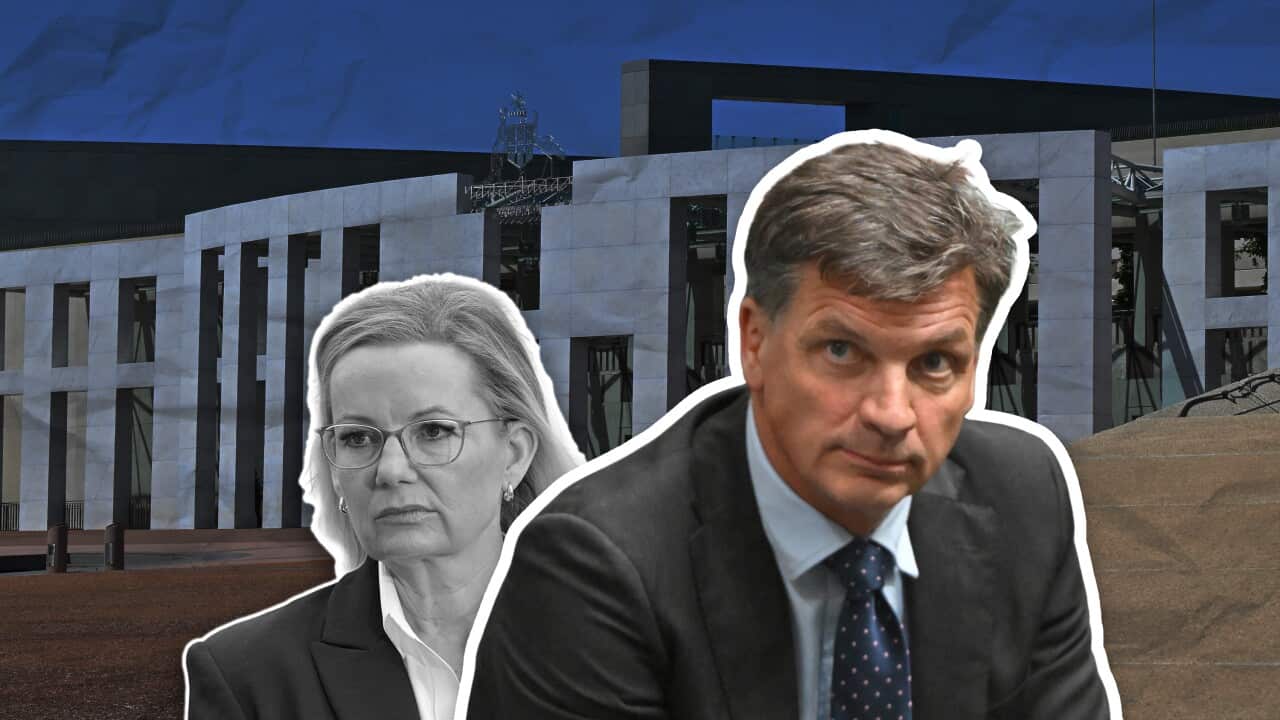 Graphic art featuring head-and-shoulders of Sussan Ley (left) and Angus Taylor (right) in front of Parliament House in Canberra.