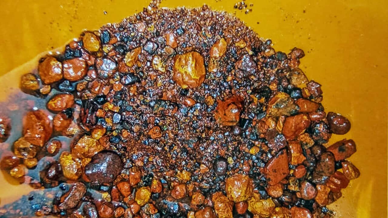 A bunch of flushed coltan ore.Coltan ore contains metals of Tantalum and Niobium .