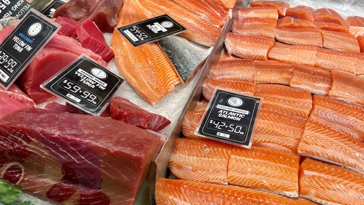 Tomaru46 Tuna and Salmon.jpg