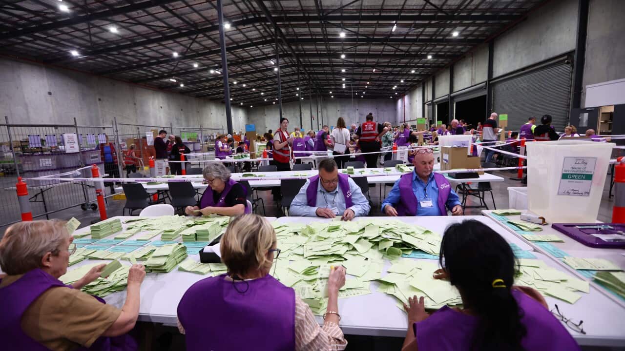People in purple vests looking at small, green papers.