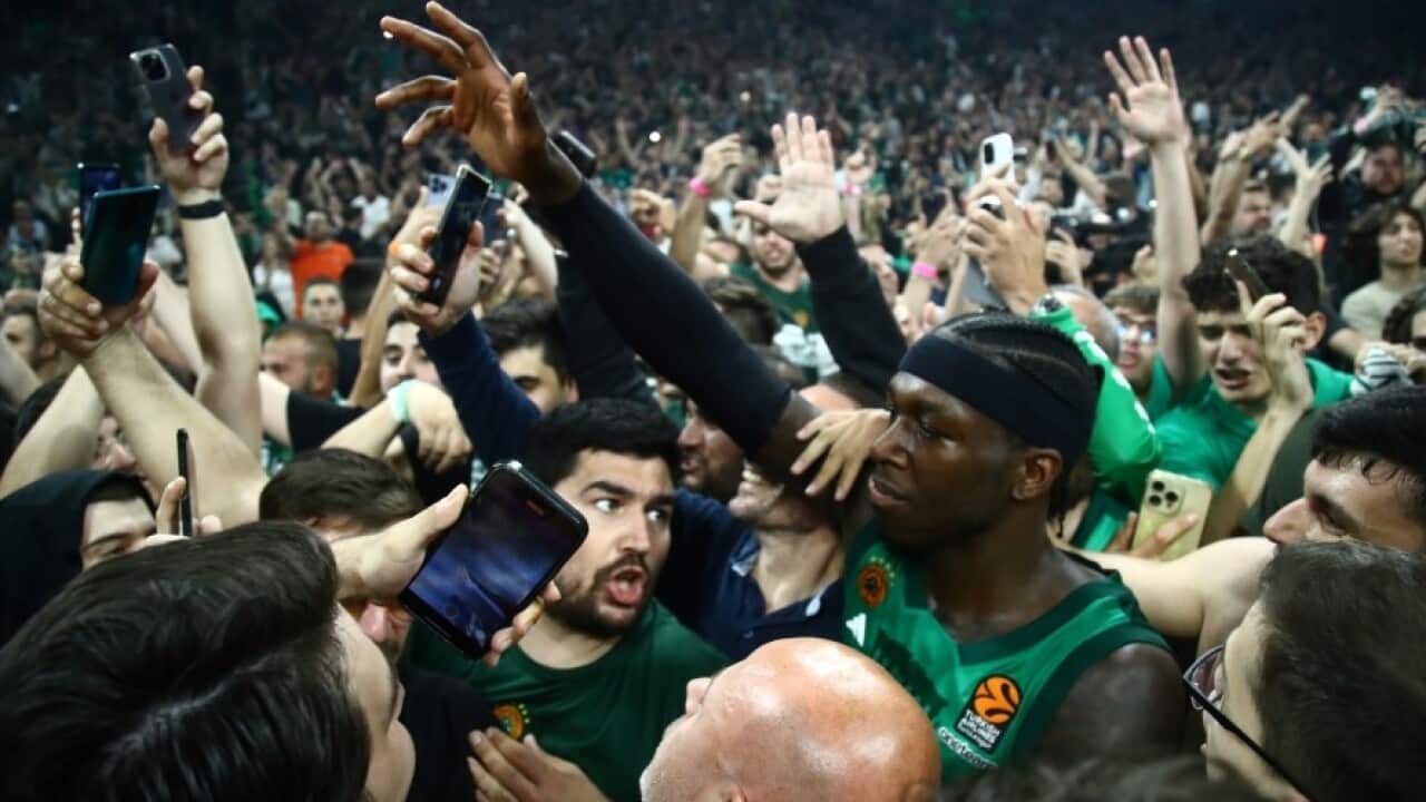 PAO EUROLEAGUE.jpg