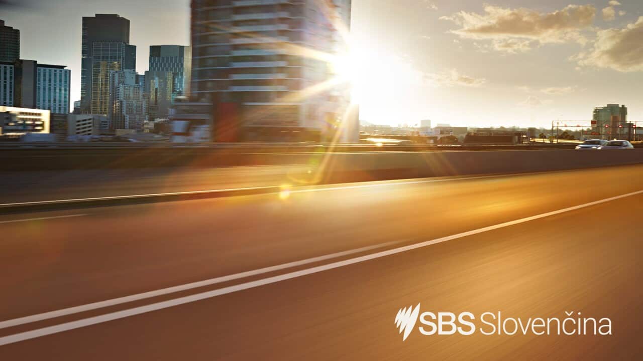 SBS Slovak