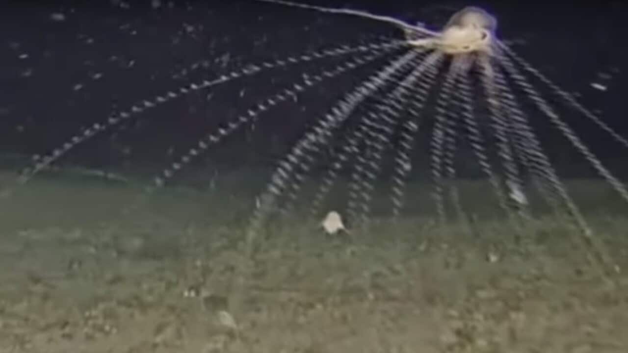 Image for read more article ''