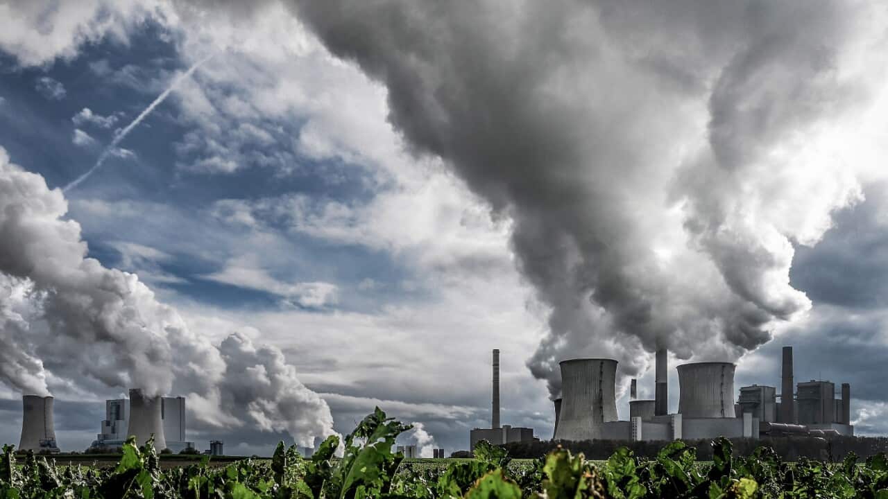 Steam rises from coal-fired power plants