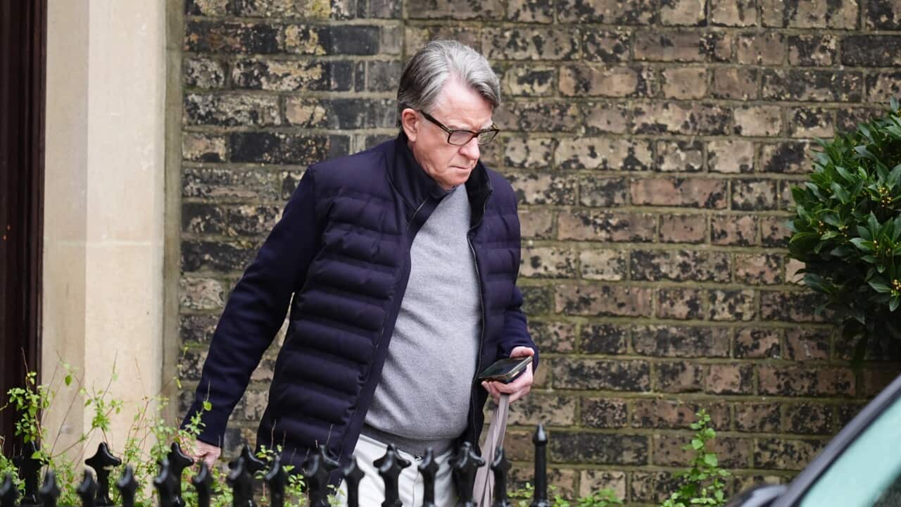 UK police arrest ex-ambassador Peter Mandelson after Epstein revelations UK police arrest ex-ambassador Peter Mandelson after Epstein revelations