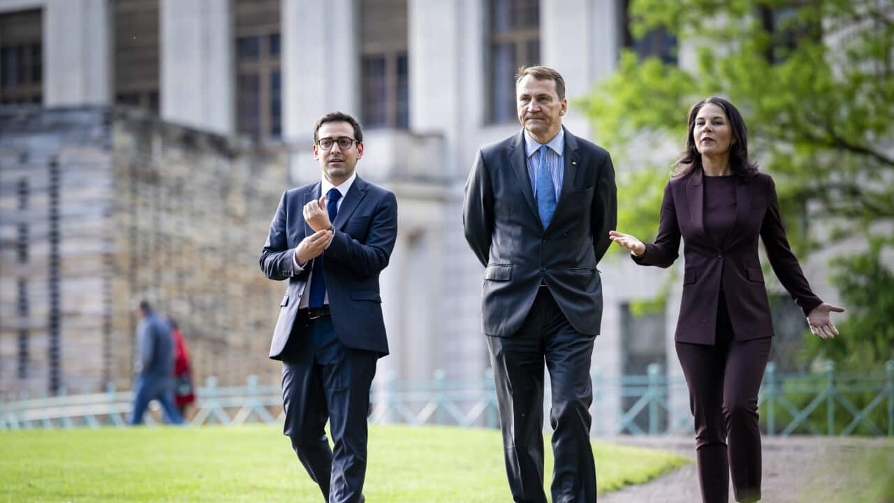 German Foreign Minister, French and Polish counterparts attend Weimar Triangle meeting