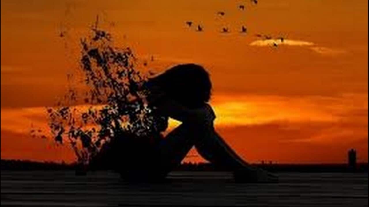 Image for read more article 'READ MORE'