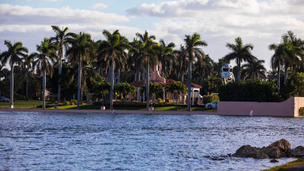 A view of water lined with palm trees in front of a resort.
