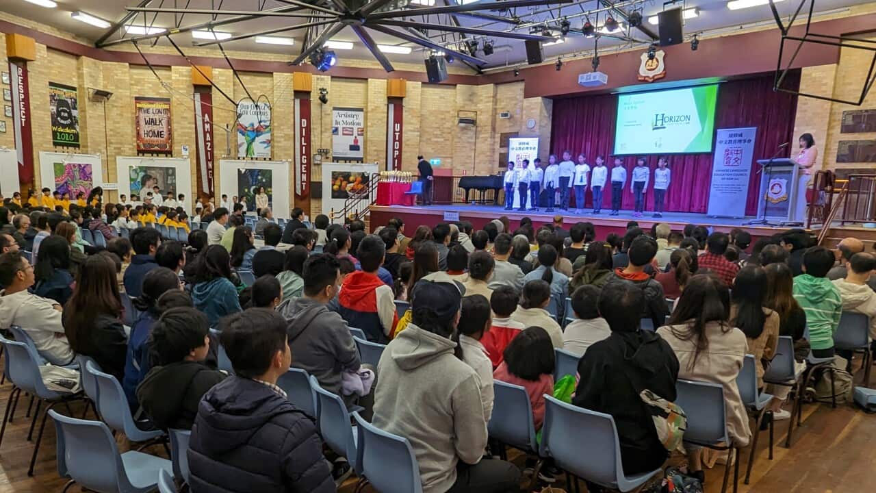 Image for read more article ''