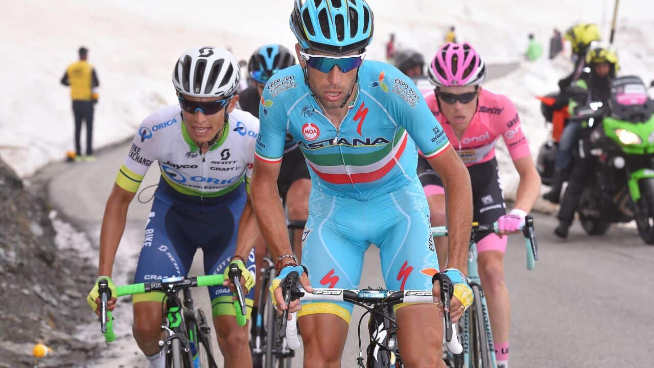 Bahrain Merida Vincenzo Nibali
