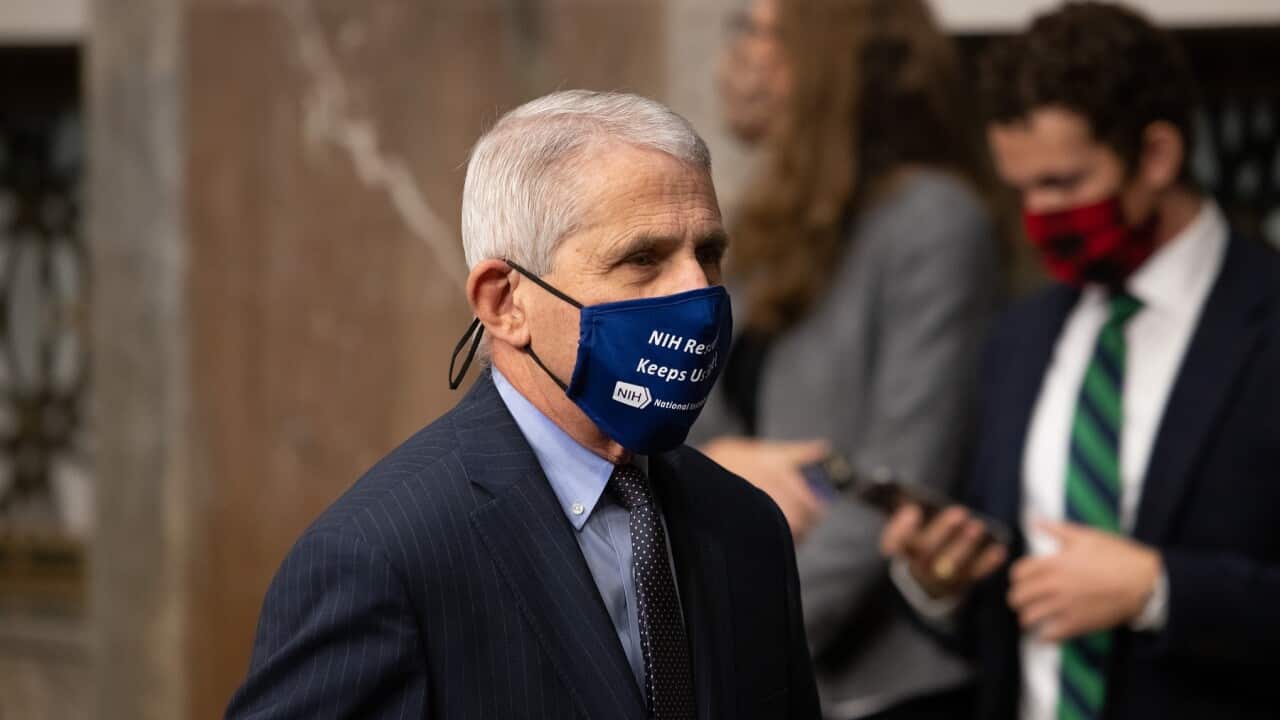 Dr Anthony Fauci