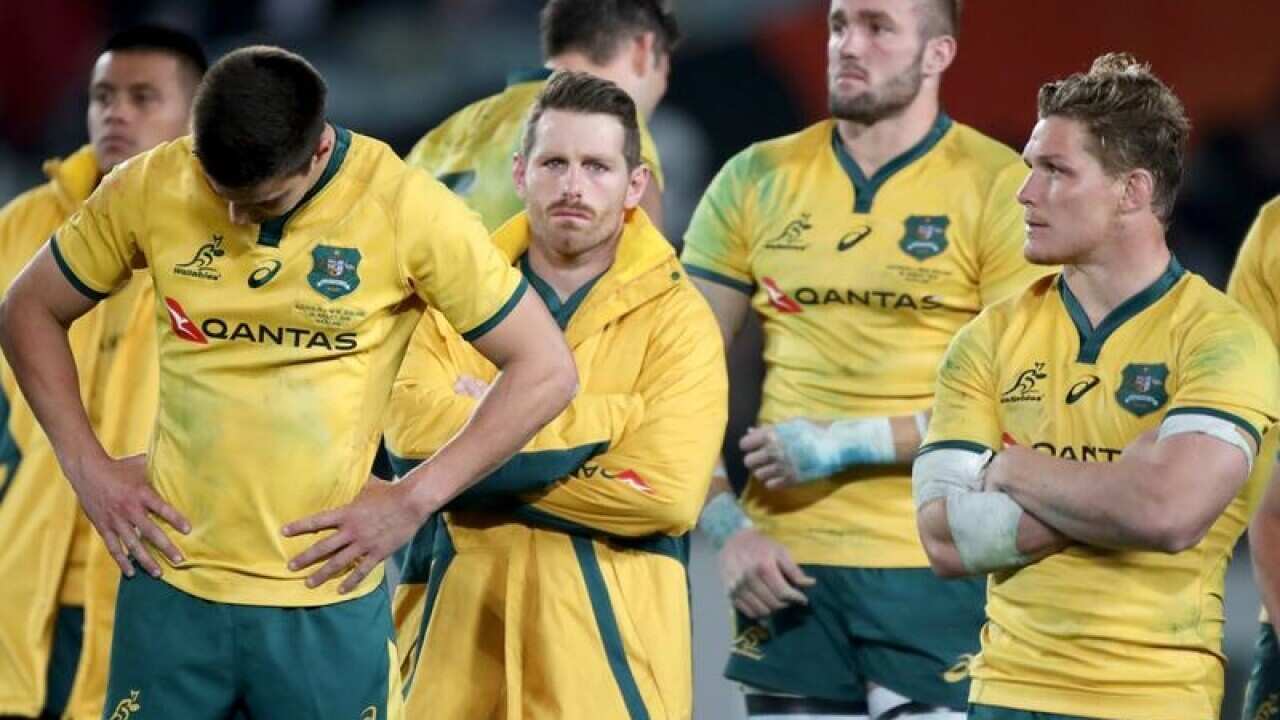 Wallabies