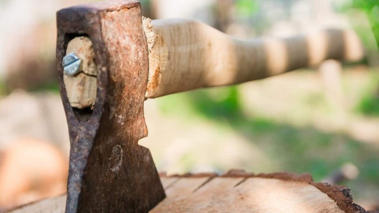 Waar gehakt wordt, vallen spaanders SBS Dutch Waar gehakt wordt, vallen spaanders SBS Dutch