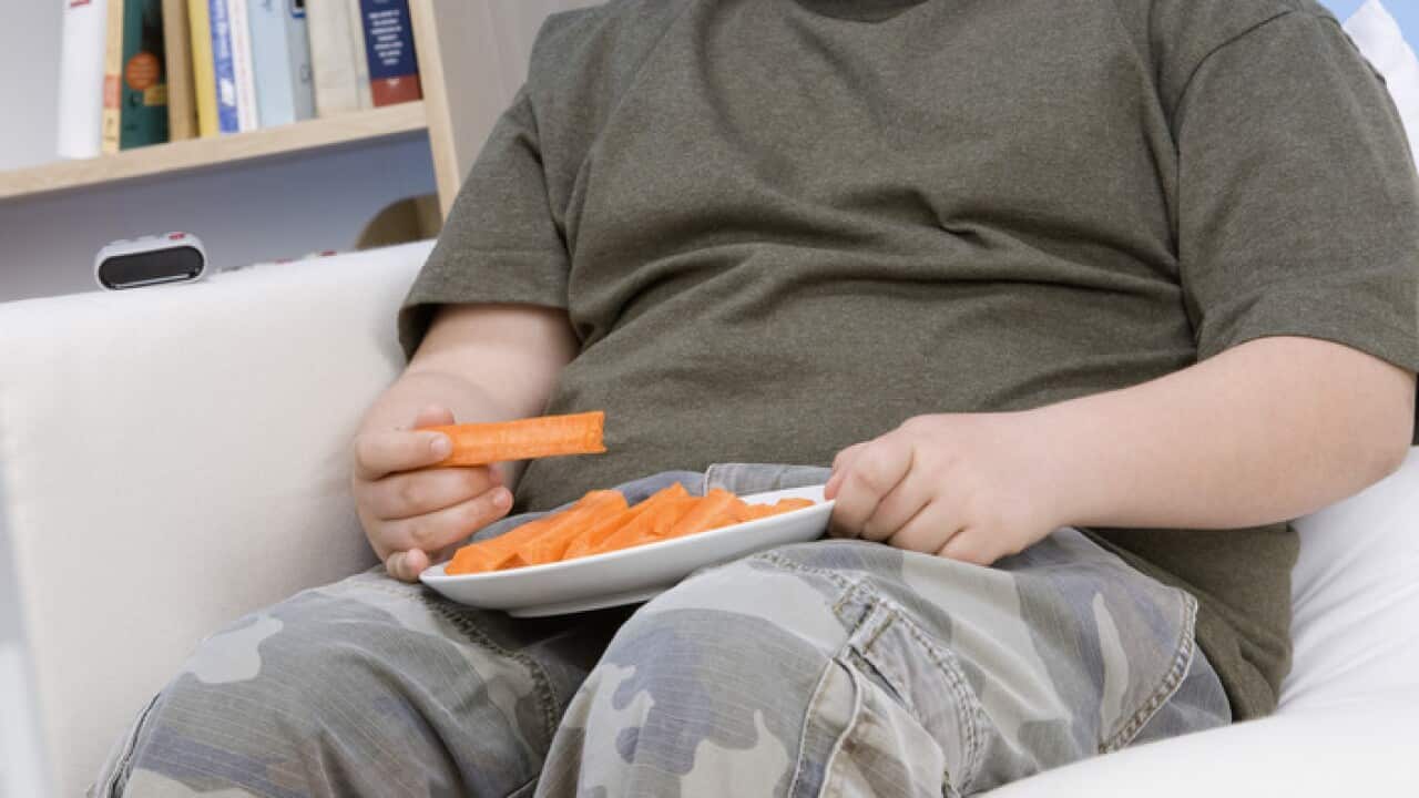 Boy Eating Carrot Sticks - AAP